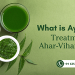 What is Ayurveda Treatments, Ahar-Vihar and More